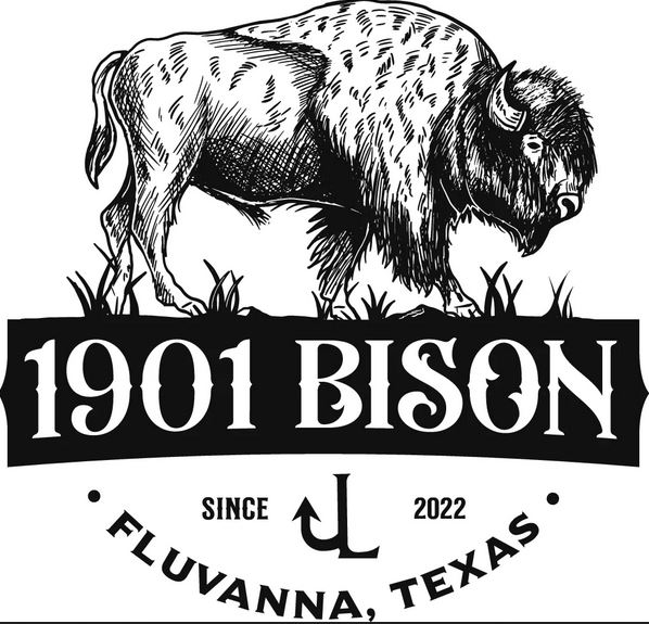 Bison Burger in Texas: A Delicious and Nutritious Alternative