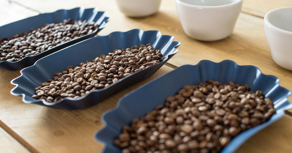 Twelve Ways to Elevate Your Coffee Tasting Experience